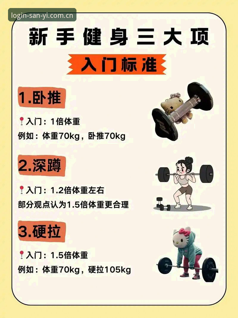 三亿体育数据查询实用指南：从新手到高手的必备知识